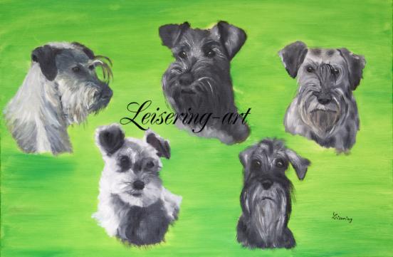 5 Schnauzerporträts, 50cm x 70cm, Öl auf Canvas