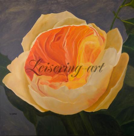 Romanze in Orange, 80 cm x 80 cm, Ölauf Canvas